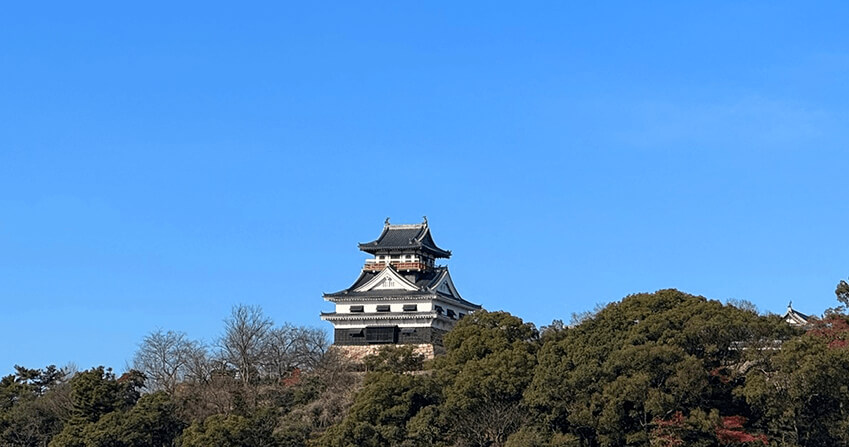 100年以上の歴史を持つ川之江の街を見守る川之江城